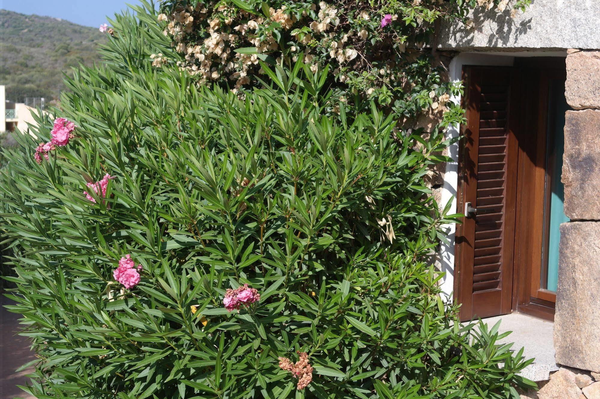 Sardinia Blu Residence Golfo Aranci Bagian luar foto